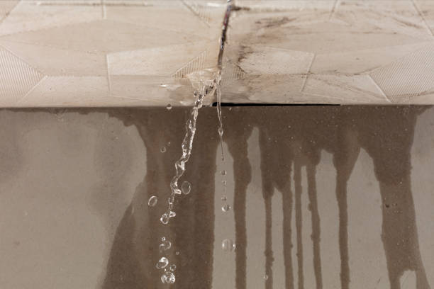 Professional Sewage Cleanup technician working in Helm, CA
